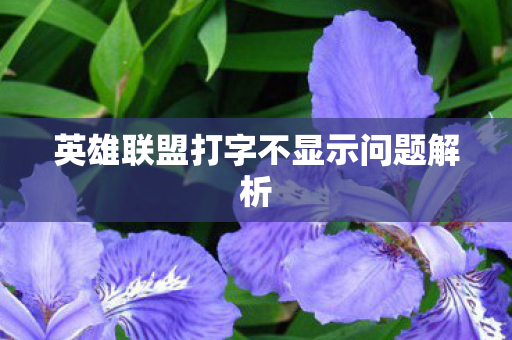 英雄联盟打字不显示问题解析图片