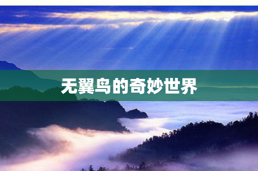 无翼鸟的奇妙世界图片