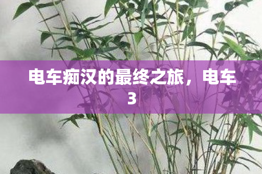 电车痴汉的最终之旅图片