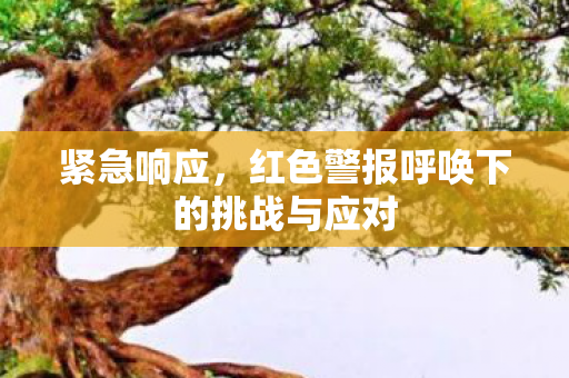 红色警报呼唤下的挑战与应对图片