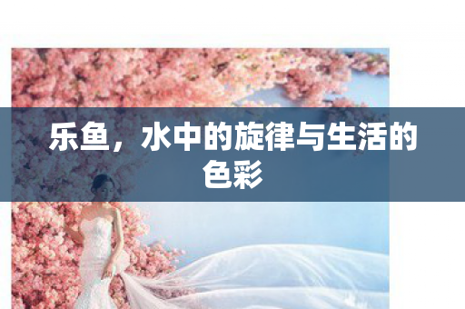 水中的旋律与生活的色彩图片