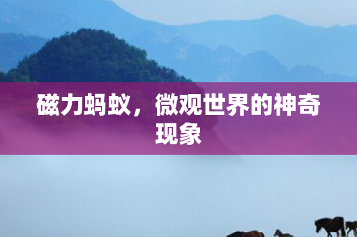 微观世界的神奇现象图片
