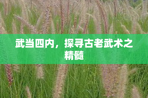 探寻古老武术之精髓图片