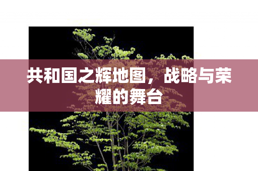 战略与荣耀的舞台图片