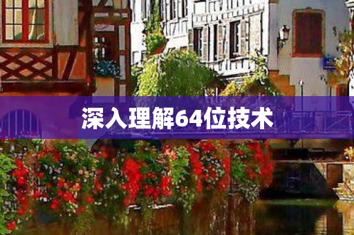 深入理解64位技术图片