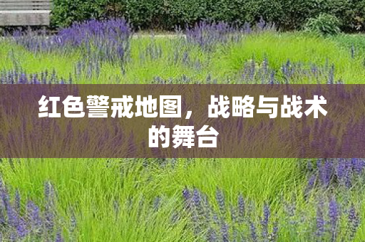 战略与战术的舞台图片