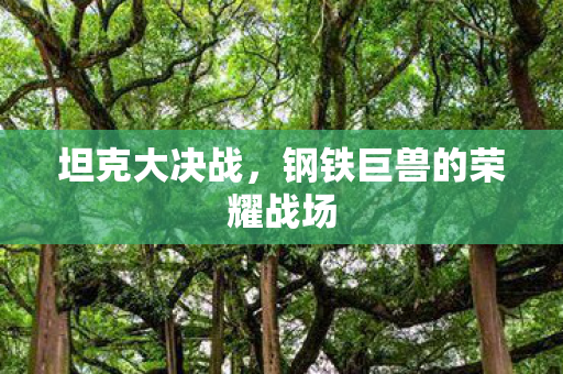 钢铁巨兽的荣耀战场图片