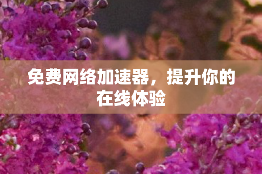 提升你的在线体验图片