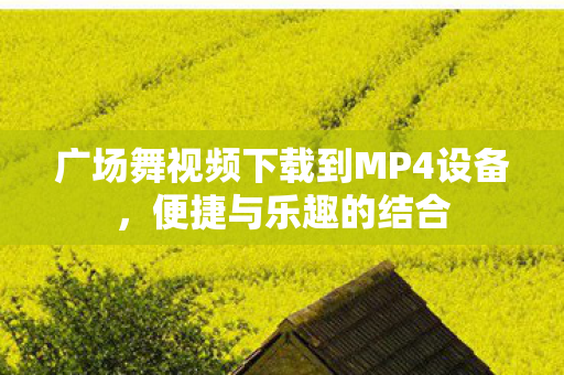 广场舞视频下载到MP4设备图片