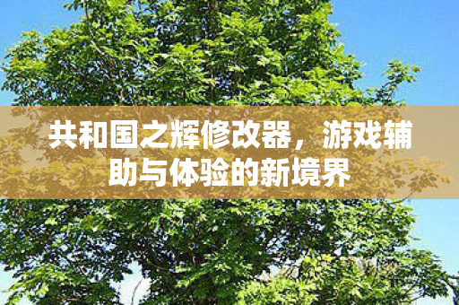 游戏辅助与体验的新境界图片