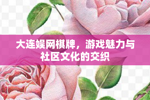 游戏魅力与社区文化的交织图片