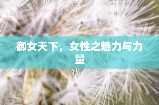 女性之魅力与力量图片