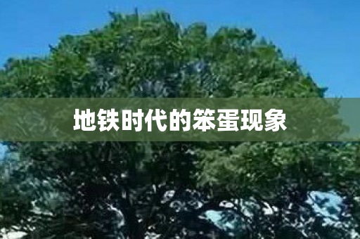 地铁时代的笨蛋现象图片