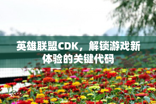 解锁游戏新体验的关键代码图片