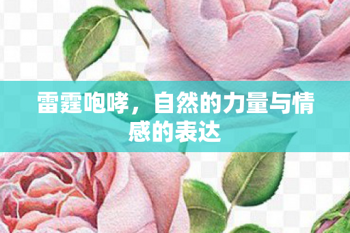 自然的力量与情感的表达图片