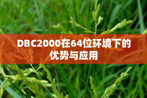 DBC2000在64位环境下的优势与应用图片