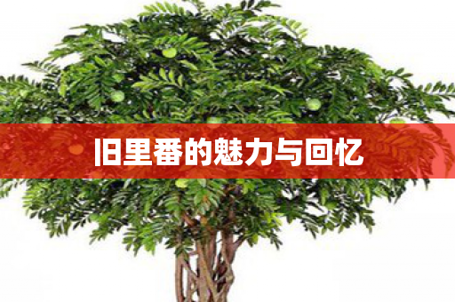 旧里番的魅力与回忆图片