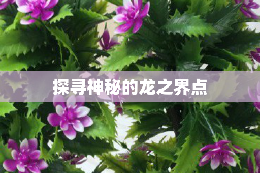 探寻神秘的龙之界点图片
