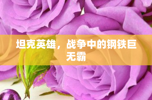 战争中的钢铁巨无霸图片