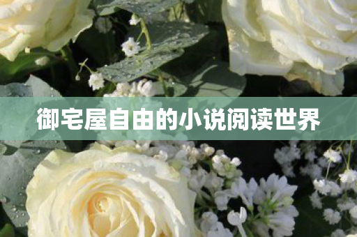 御宅屋自由的小说阅读世界图片