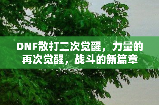 DNF散打二次觉醒图片