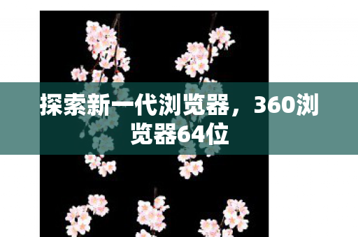 360浏览器64位图片