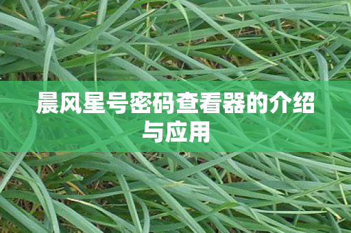 晨风星号密码查看器的介绍与应用图片