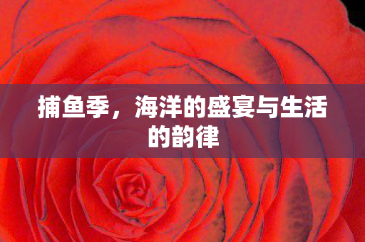海洋的盛宴与生活的韵律图片