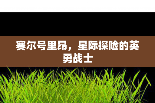 星际探险的英勇战士图片