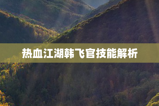 热血江湖韩飞官技能解析图片