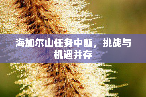 海加尔山任务中断图片