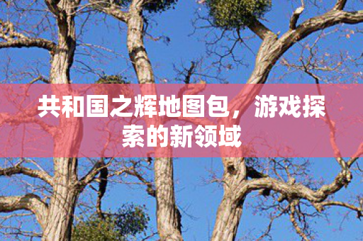 共和国之辉地图包图片