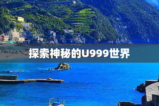 探索神秘的U999世界图片