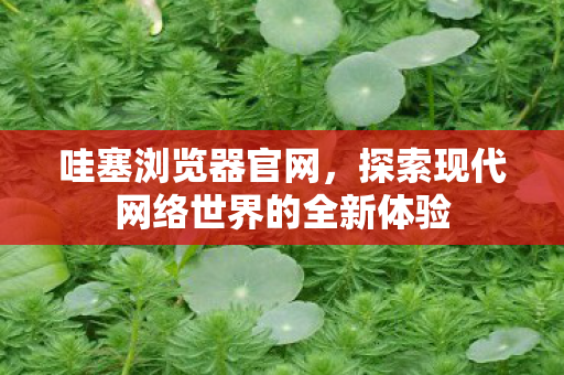 探索现代网络世界的全新体验图片