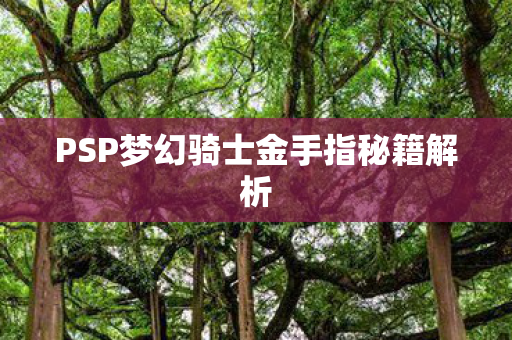 PSP梦幻骑士金手指秘籍解析图片