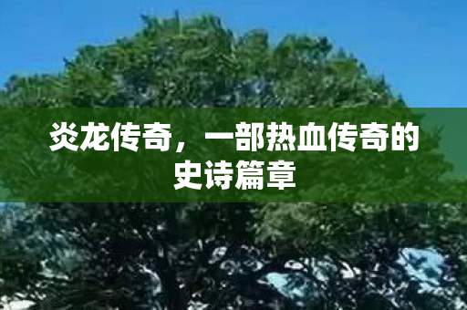 一部热血传奇的史诗篇章图片