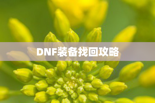 DNF装备找回攻略图片