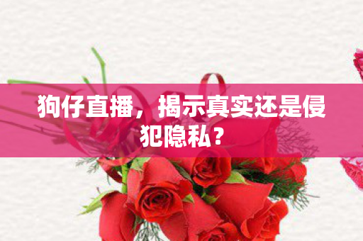 揭示真实还是侵犯隐私图片