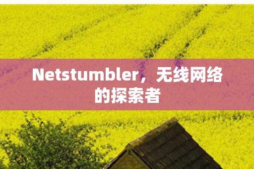 Netstumbler图片