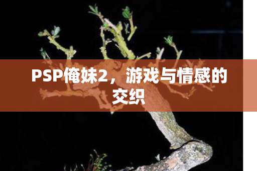 游戏与情感的交织图片