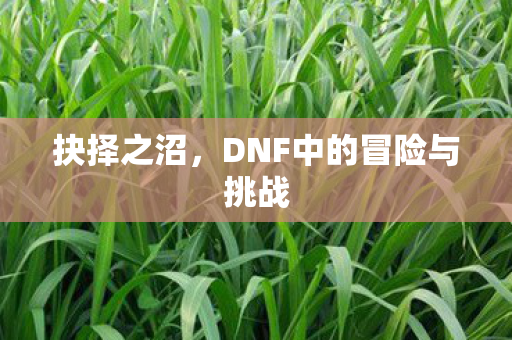 DNF中的冒险与挑战图片