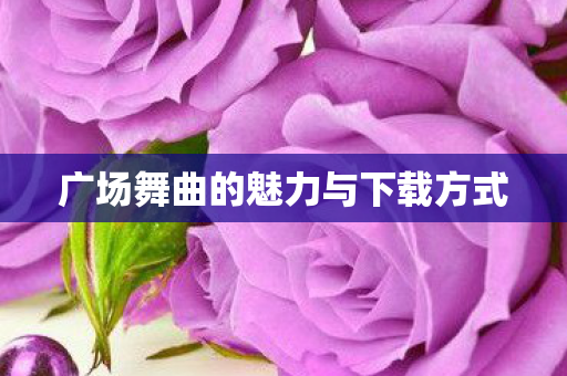 广场舞曲的魅力与下载方式图片