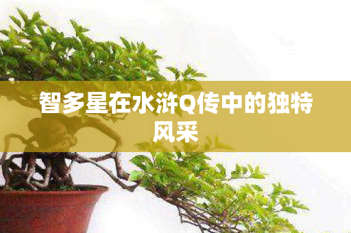 智多星在水浒Q传中的独特风采图片