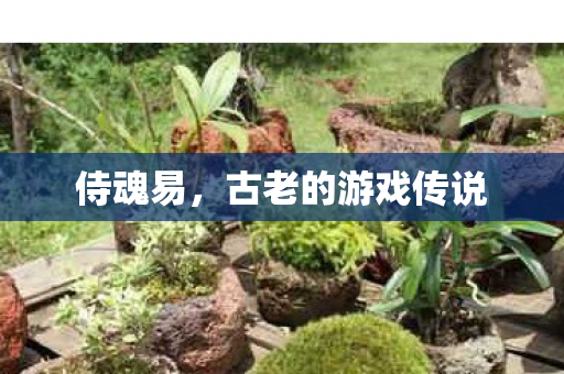 古老的游戏传说图片