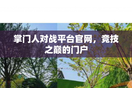 掌门人对战平台官网图片