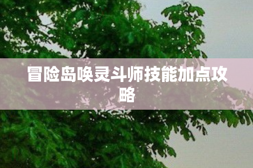 冒险岛唤灵斗师技能加点攻略图片