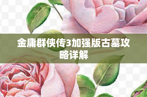 金庸群侠传3加强版古墓攻略详解图片