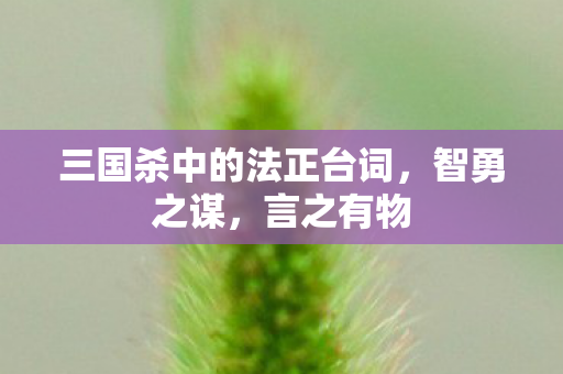 三国杀中的法正台词图片