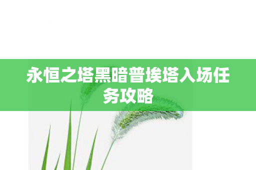 永恒之塔黑暗普埃塔入场任务攻略图片