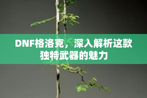 深入解析这款独特武器的魅力图片